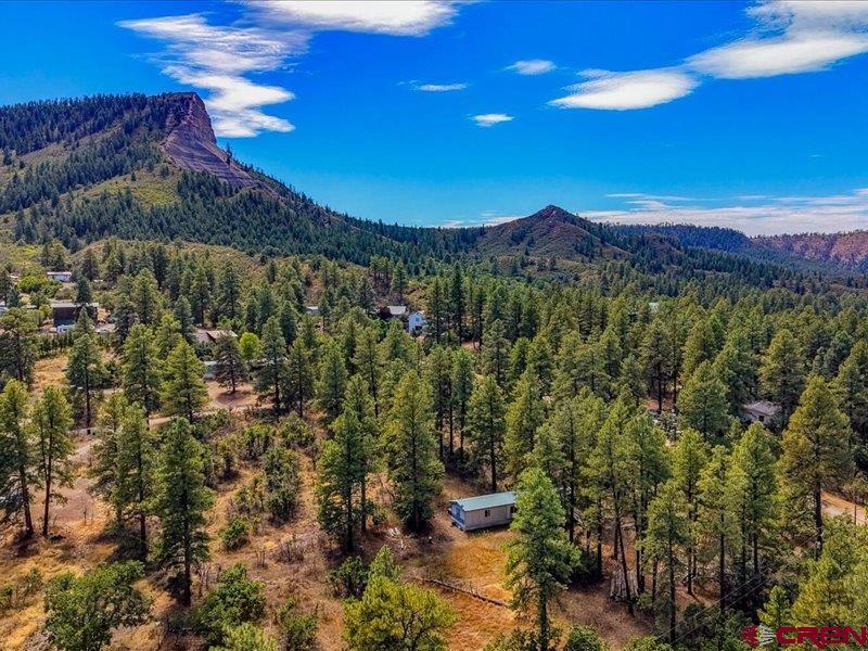 486 Hummingbird Place Pagosa Springs CO 81147