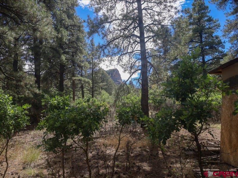 486 Hummingbird Place Pagosa Springs CO 81147
