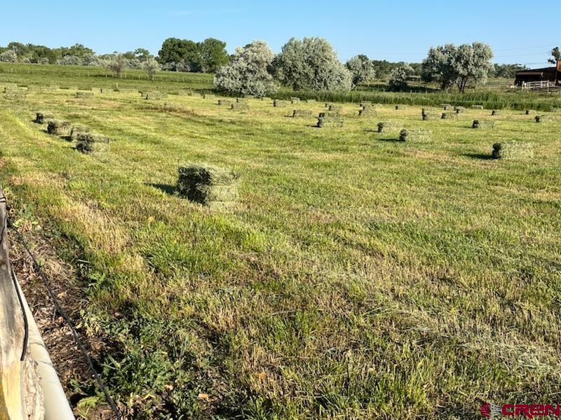 15825 6000 Road Montrose CO 81403