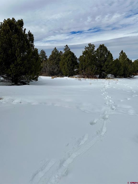 Tbd N Badger Trail Ridgway CO 81432