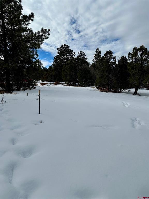 Tbd N Badger Trail Ridgway CO 81432