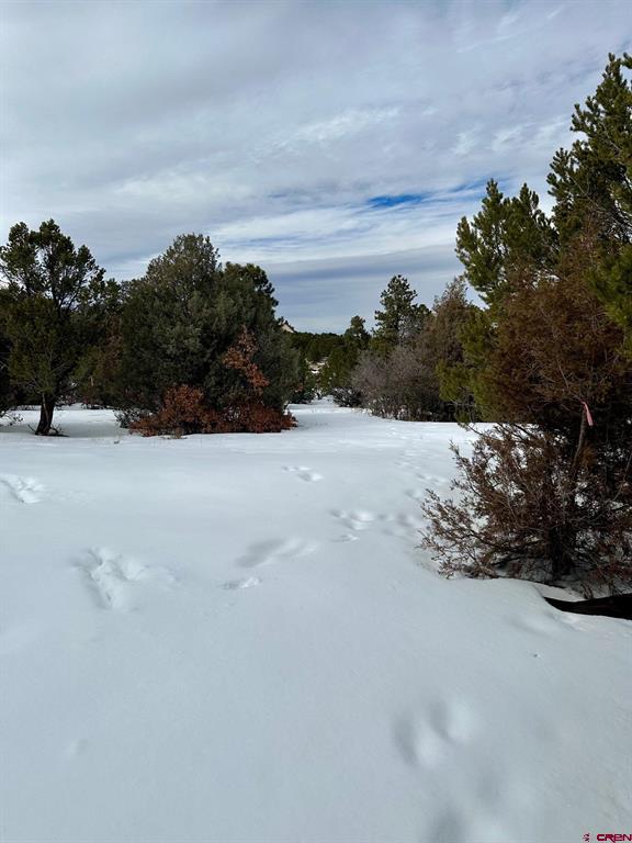 Tbd N Badger Trail Ridgway CO 81432