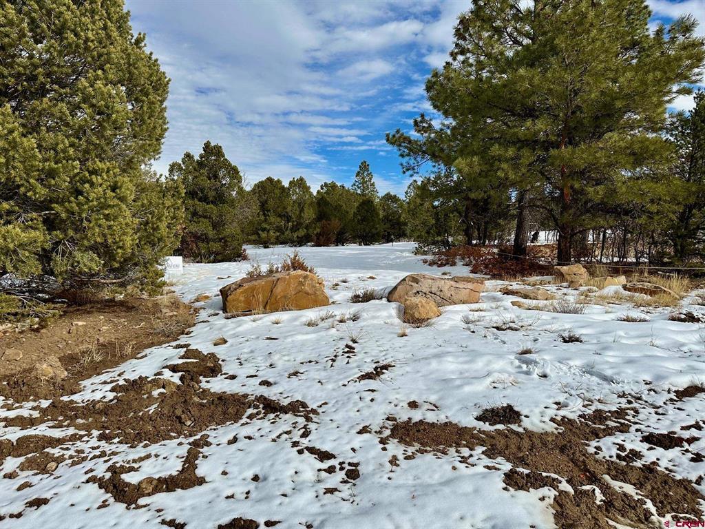 Tbd N Badger Trail Ridgway CO 81432