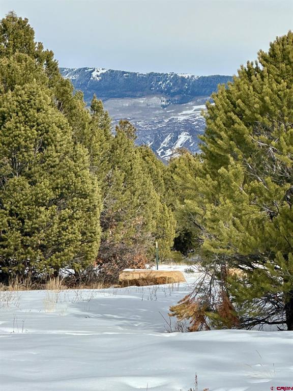 Tbd N Badger Trail Ridgway CO 81432
