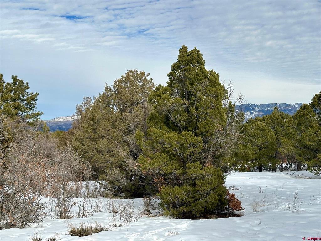 Tbd N Badger Trail Ridgway CO 81432