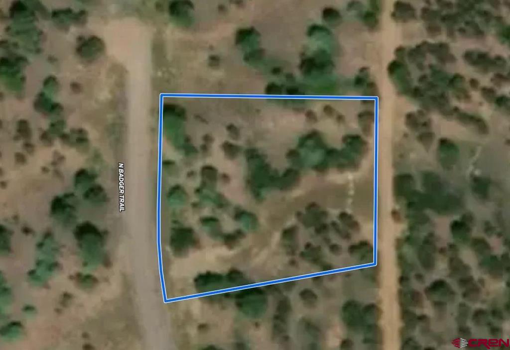 Tbd N Badger Trail Ridgway CO 81432