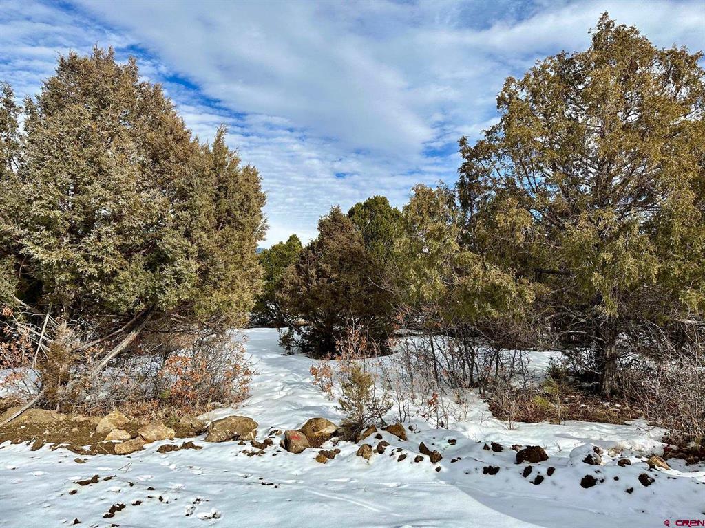 Tbd N Badger Trail Ridgway CO 81432
