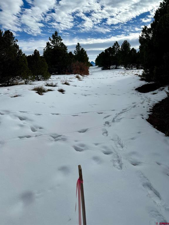 Tbd N Badger Trail Ridgway CO 81432