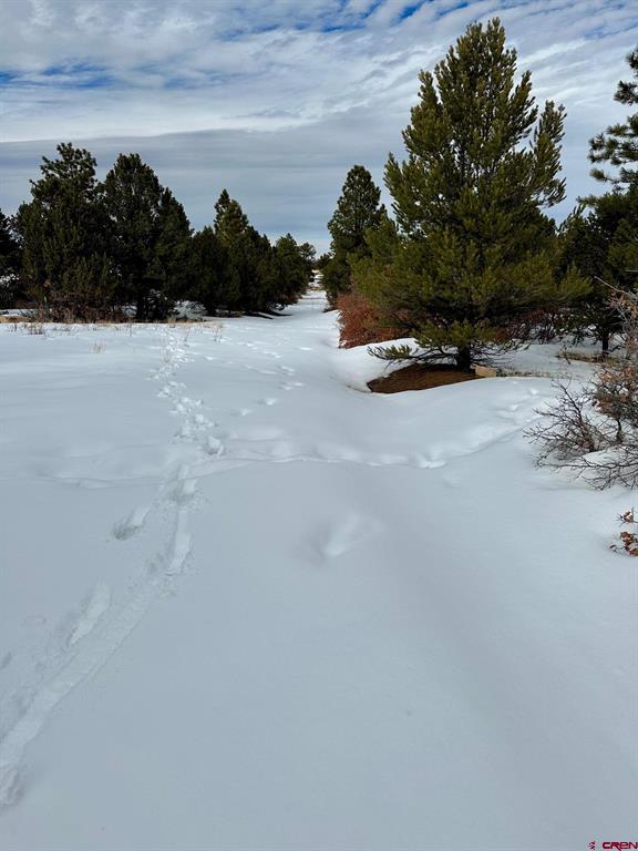 Tbd N Badger Trail Ridgway CO 81432