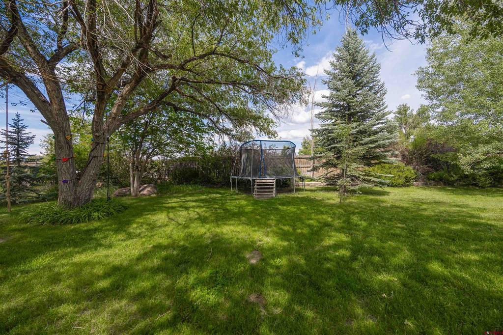 338 N Stough Avenue Montrose CO 81401