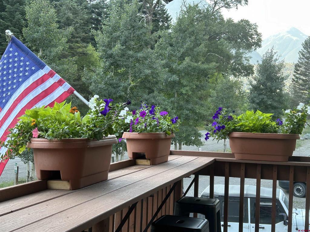 1276 Main Street Ouray CO 81427