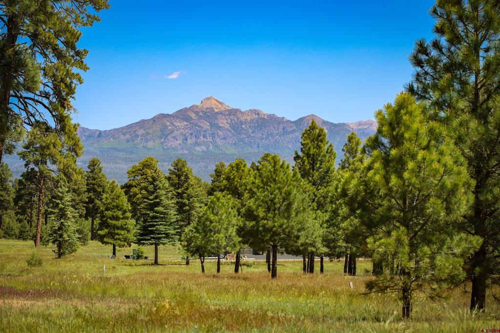 191 Vista San Juan Pagosa Springs CO 81147