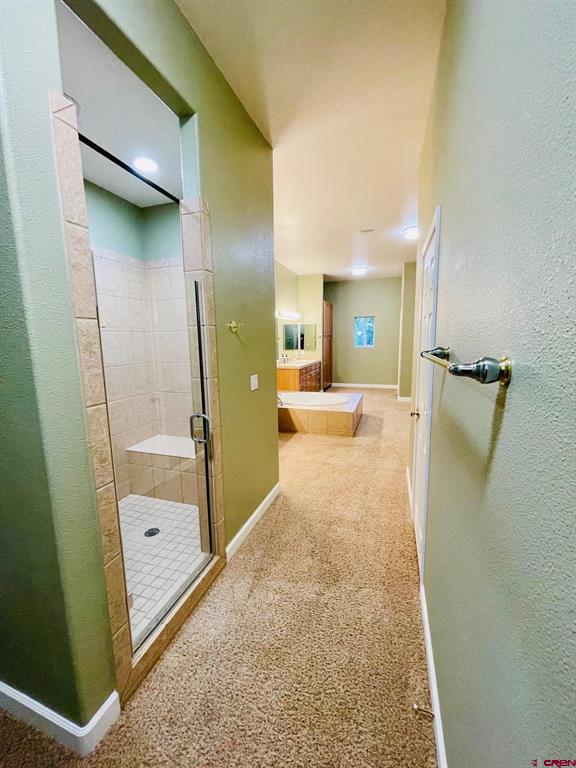 375 Mariposa Drive Pagosa Springs CO 81147