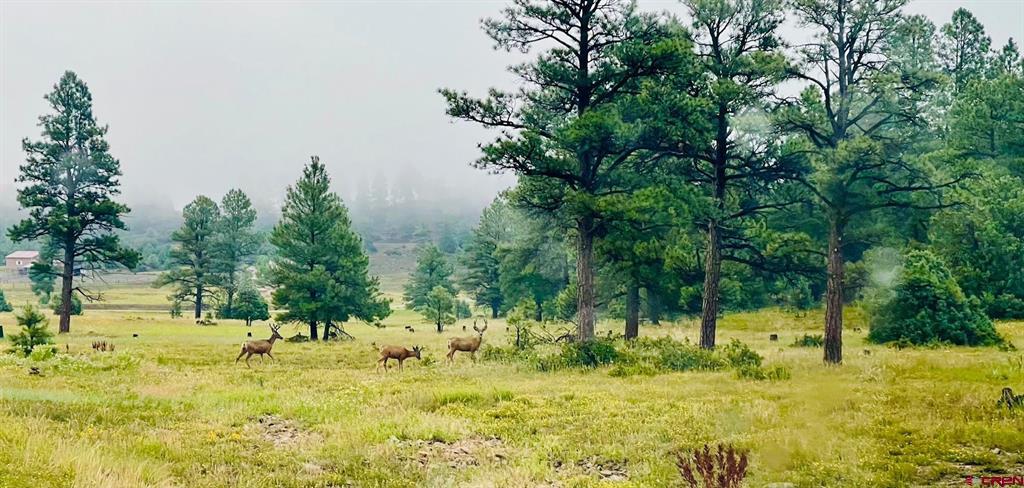 375 Mariposa Drive Pagosa Springs CO 81147