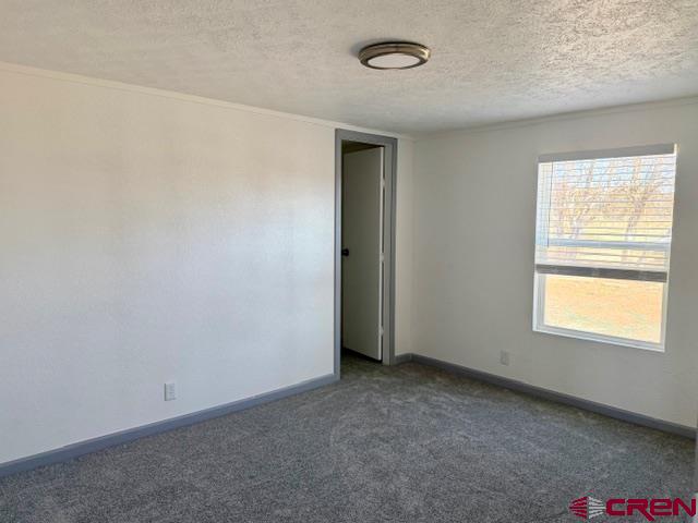 12161 Road 32 Mancos CO 81328