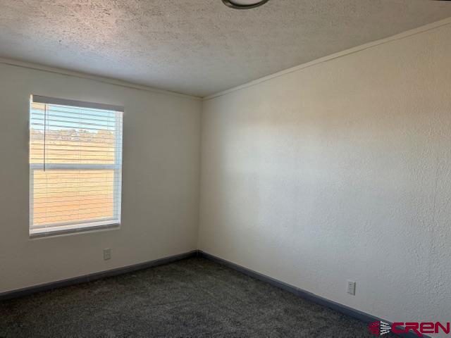 12161 Road 32 Mancos CO 81328