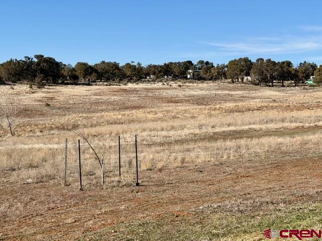 12161 Road 32 Mancos CO 81328