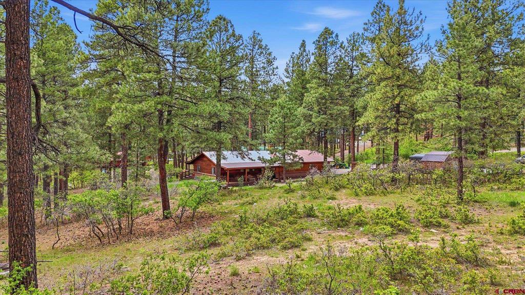 14 Pine Cone Drive Bayfield CO 81122