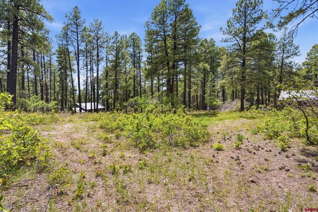 14 Pine Cone Drive Bayfield CO 81122