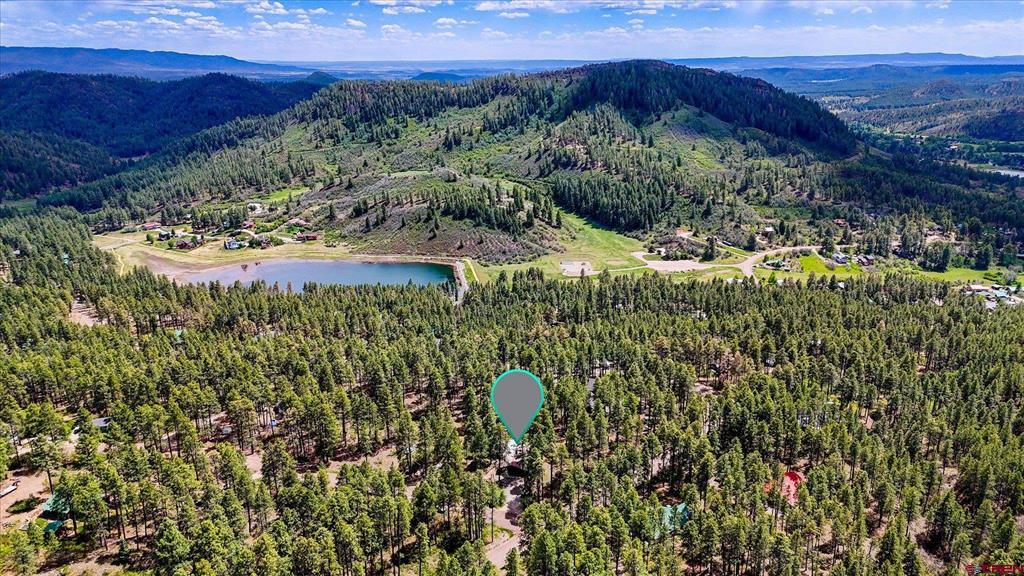14 Pine Cone Drive Bayfield CO 81122