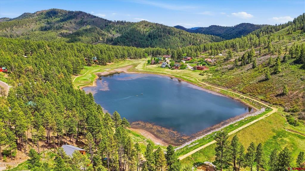 14 Pine Cone Drive Bayfield CO 81122