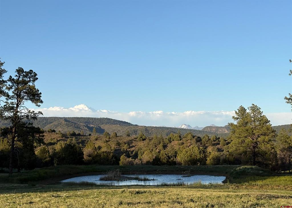 X County Road 700 Pagosa Springs CO 81147