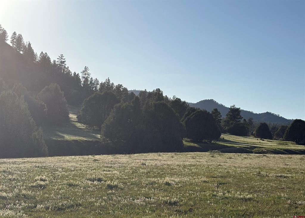 X County Road 700 Pagosa Springs CO 81147