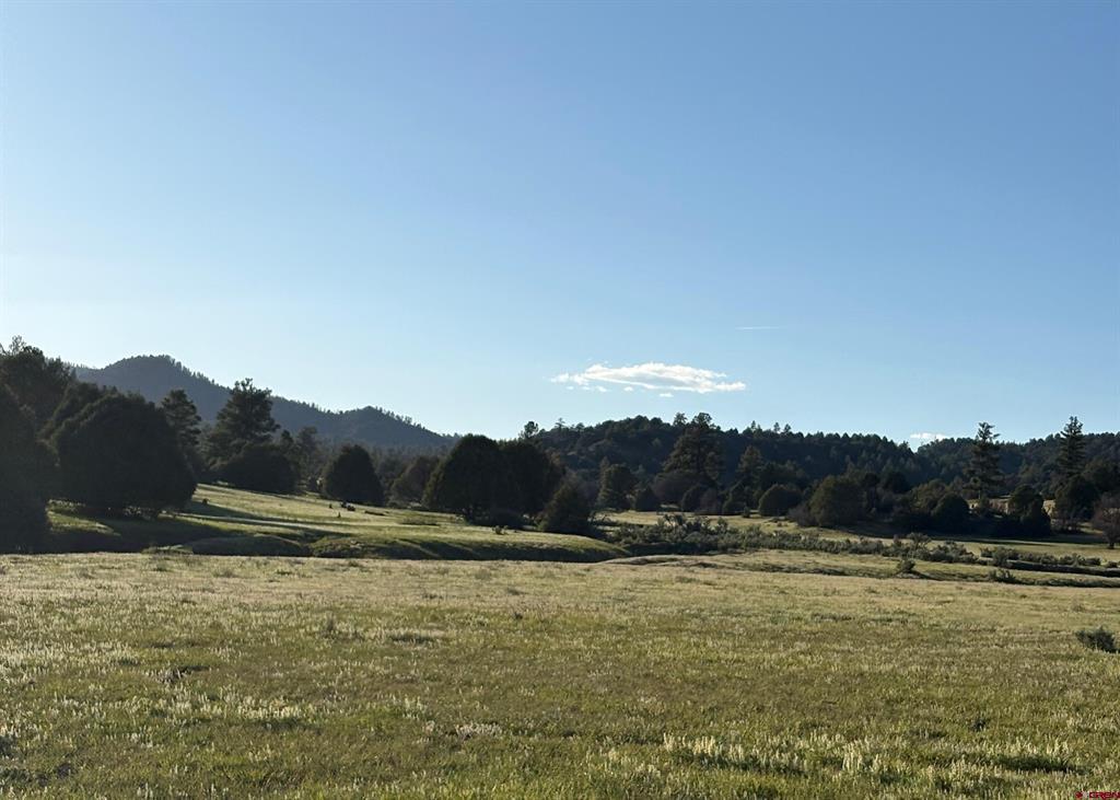 X County Road 700 Pagosa Springs CO 81147