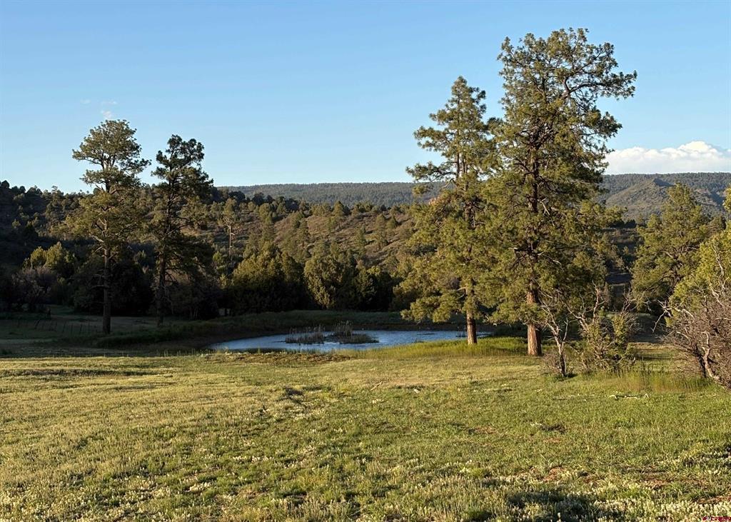 X County Road 700 Pagosa Springs CO 81147
