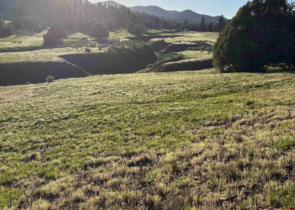 X County Road 700 Pagosa Springs CO 81147
