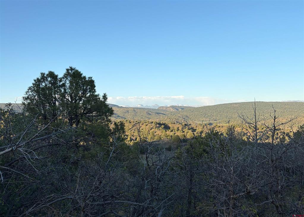 X County Road 700 Pagosa Springs CO 81147
