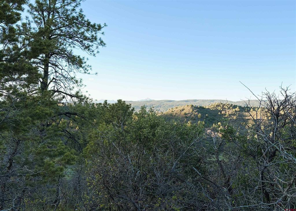 X County Road 700 Pagosa Springs CO 81147