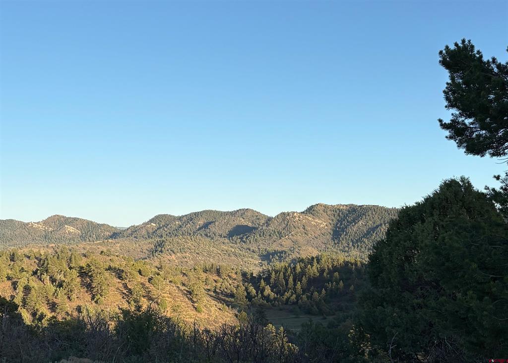 X County Road 700 Pagosa Springs CO 81147