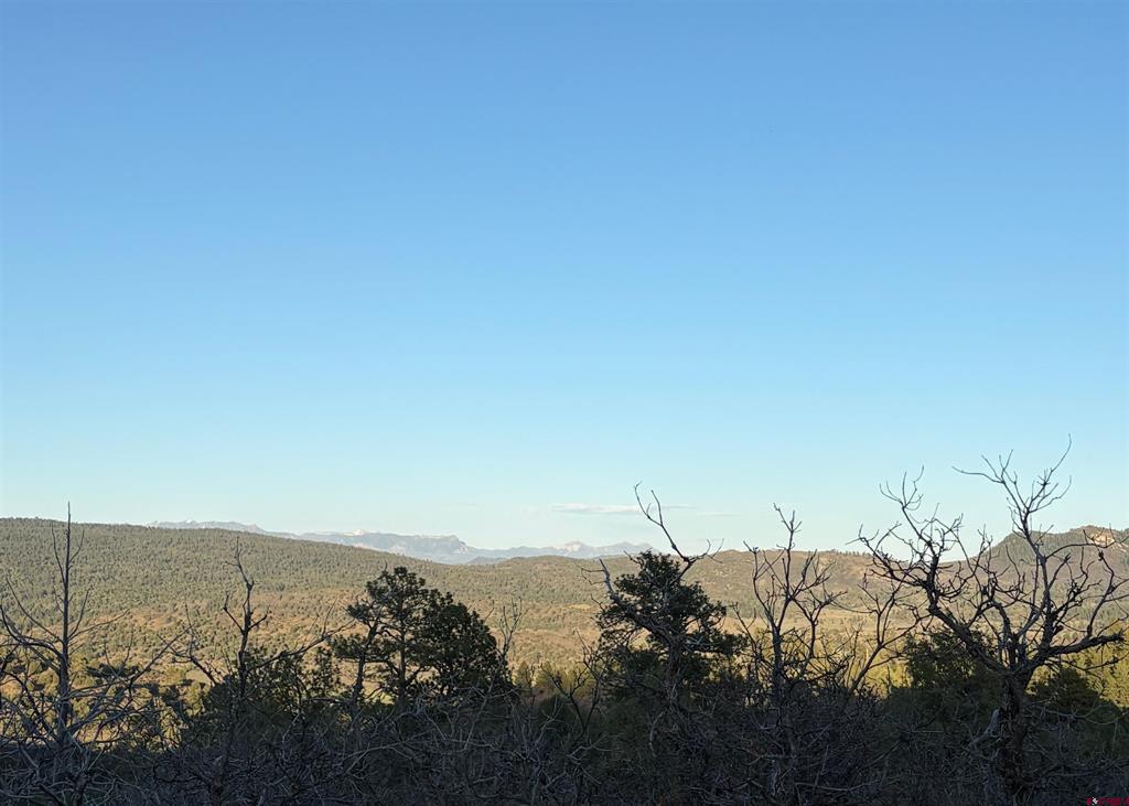 X County Road 700 Pagosa Springs CO 81147