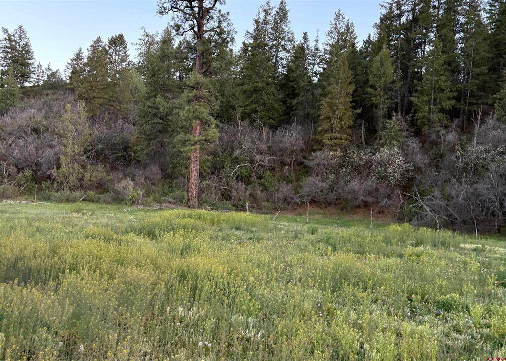 X County Road 700 Pagosa Springs CO 81147