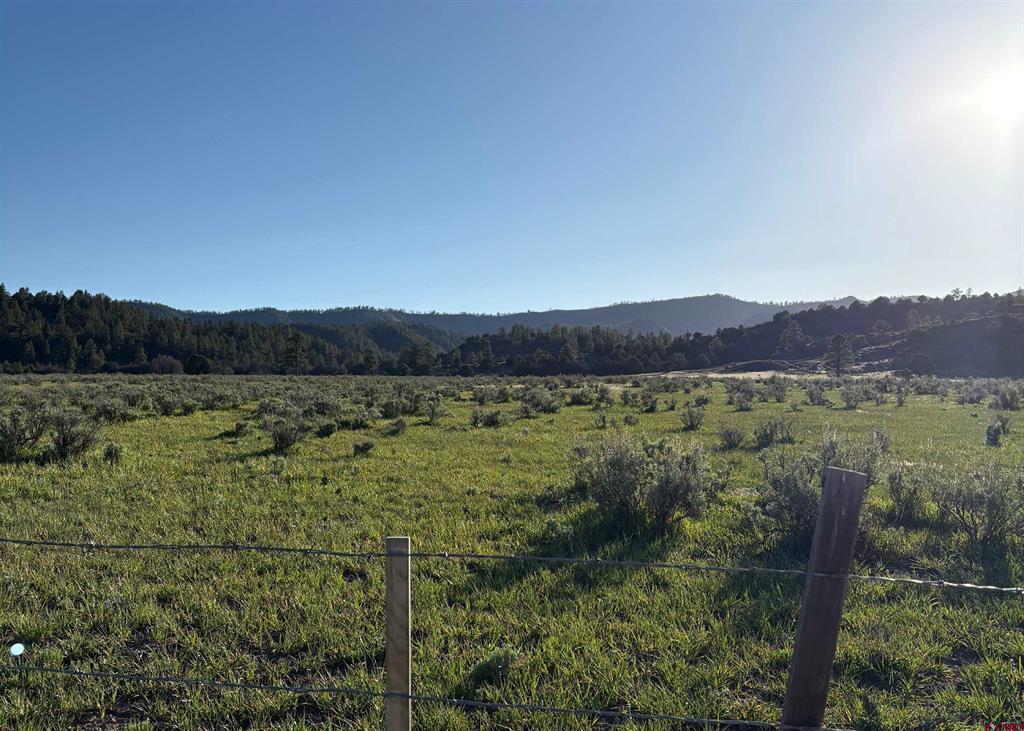 X County Road 700 Pagosa Springs CO 81147