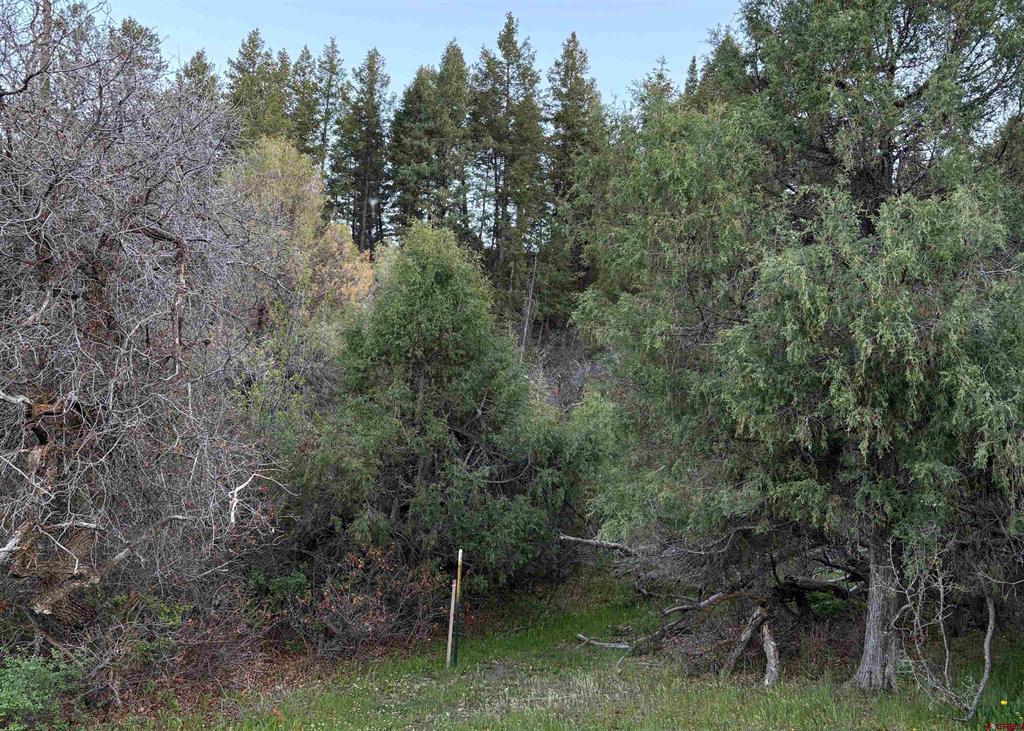 X County Road 700 Pagosa Springs CO 81147