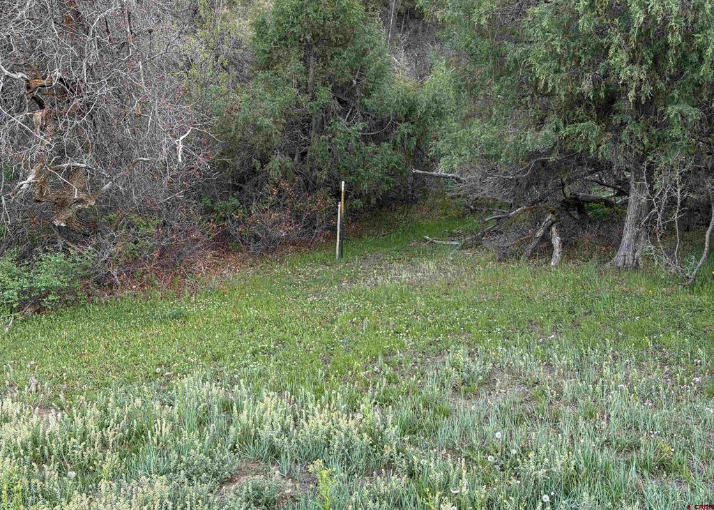 X County Road 700 Pagosa Springs CO 81147