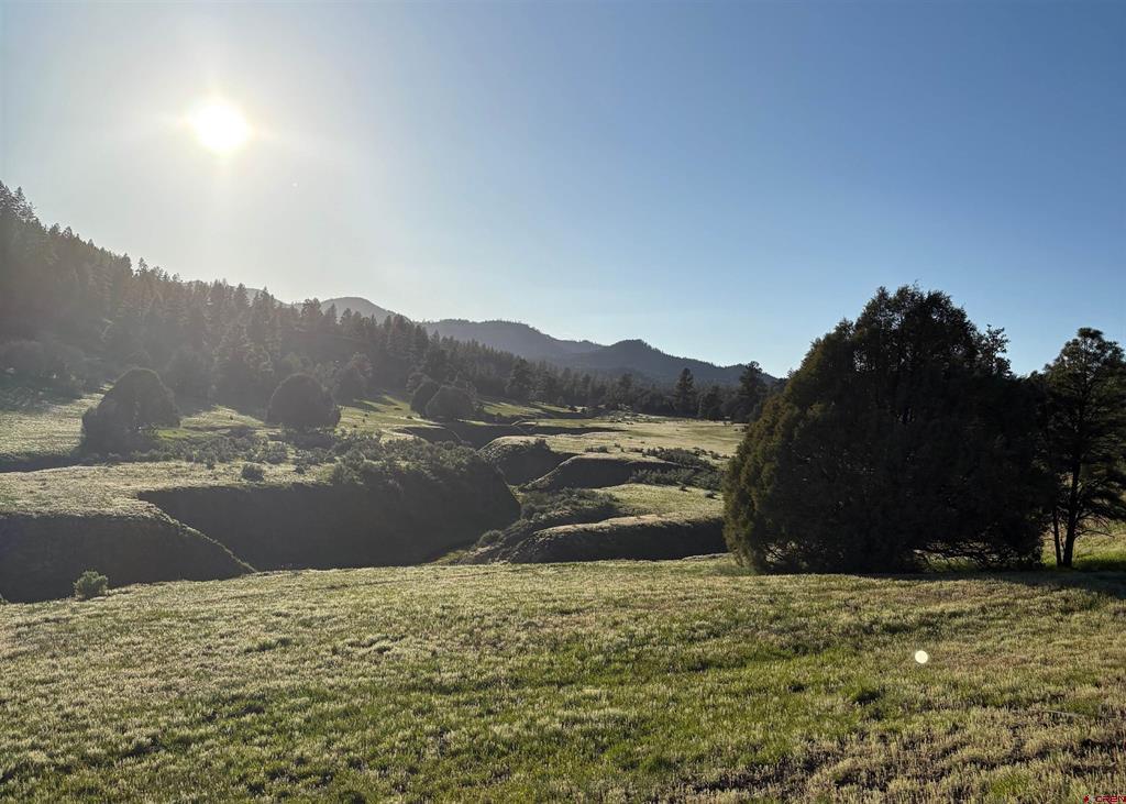 X County Road 700 Pagosa Springs CO 81147