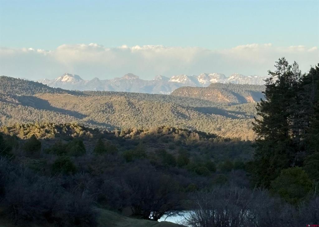 X County Road 700 Pagosa Springs CO 81147