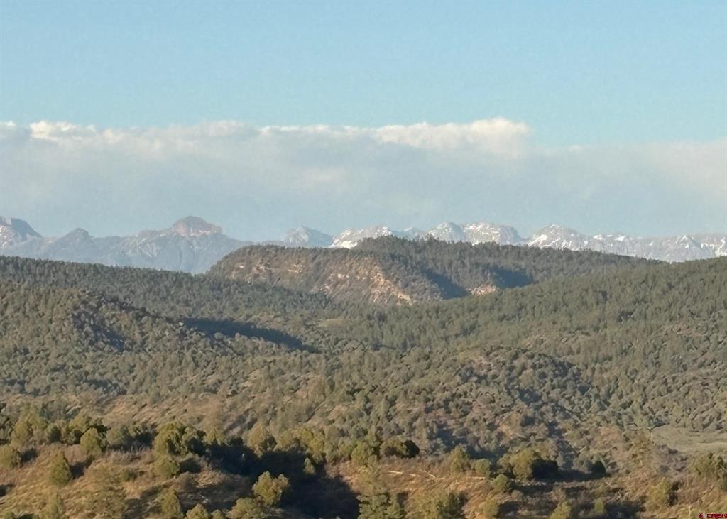 X County Road 700 Pagosa Springs CO 81147