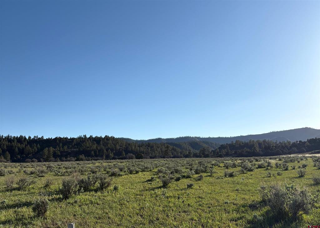 X County Road 700 Pagosa Springs CO 81147