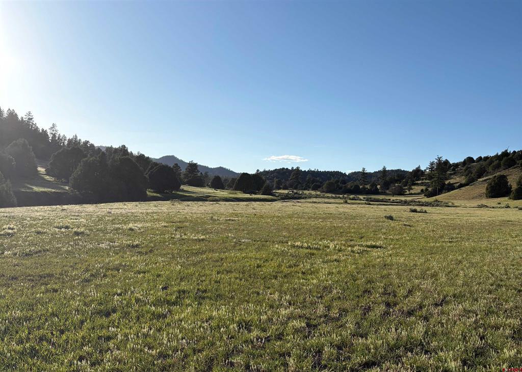 X County Road 700 Pagosa Springs CO 81147