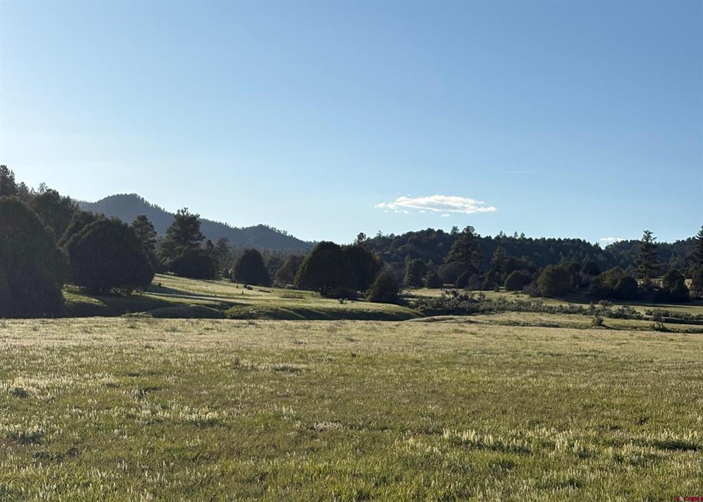 X County Road 700 Pagosa Springs CO 81147