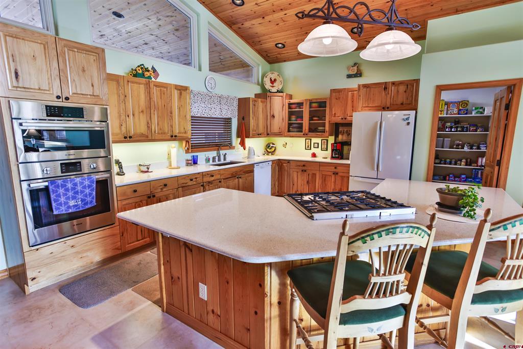 3049 Meadows Drive Pagosa Springs CO 81147