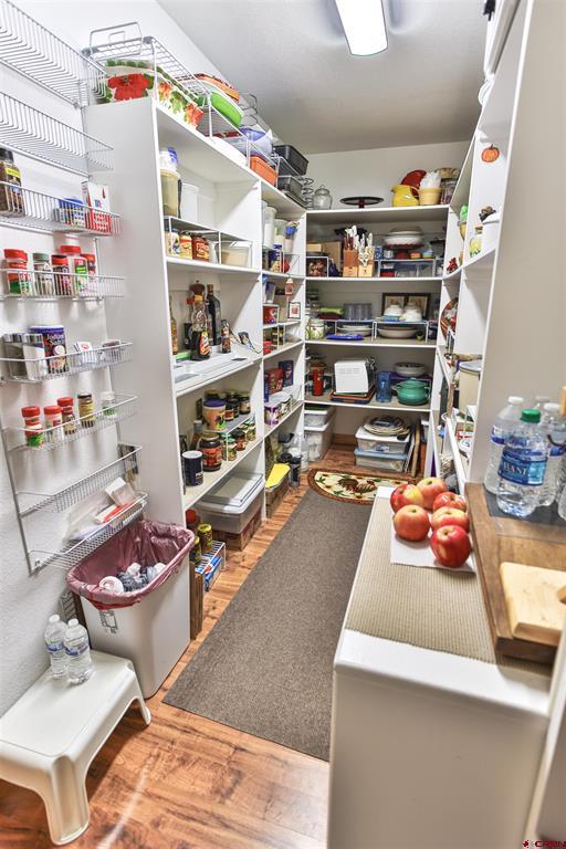 3049 Meadows Drive Pagosa Springs CO 81147