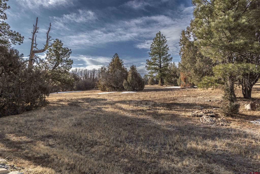 3049 Meadows Drive Pagosa Springs CO 81147