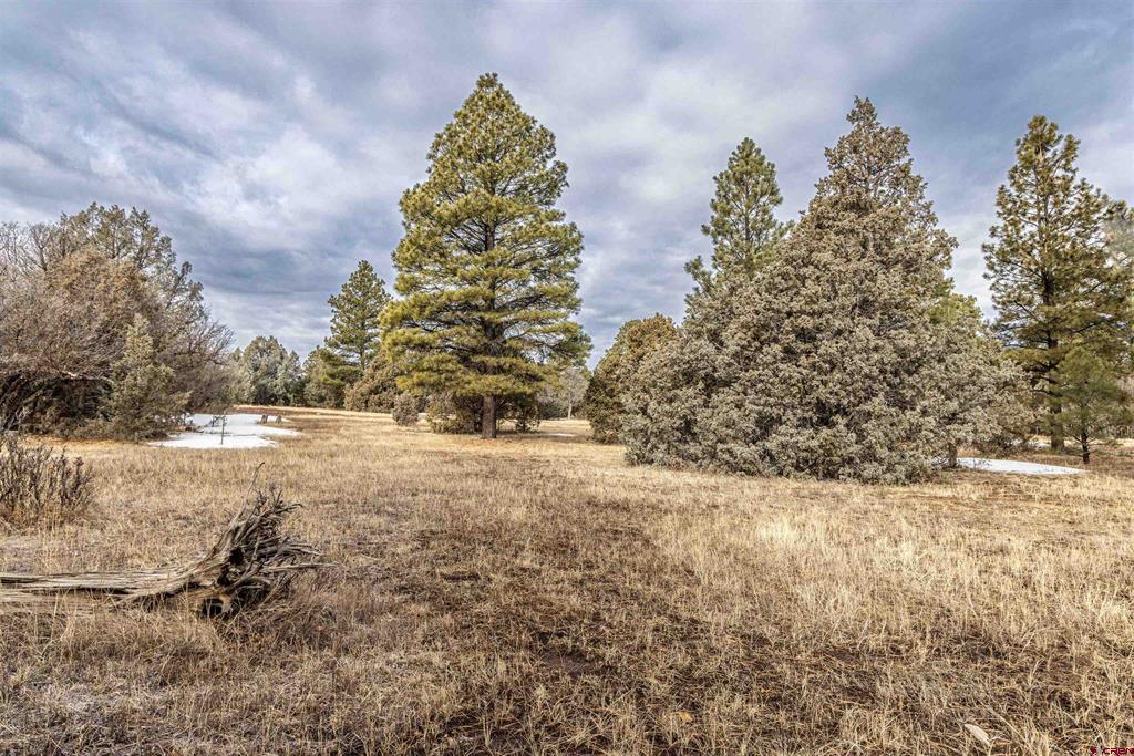 3049 Meadows Drive Pagosa Springs CO 81147