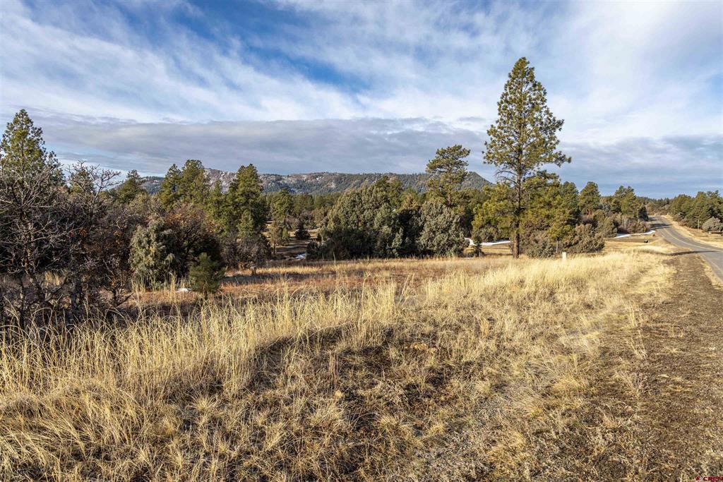 3049 Meadows Drive Pagosa Springs CO 81147