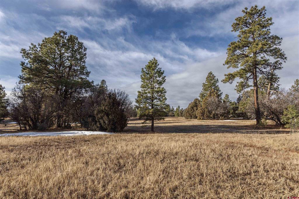 3049 Meadows Drive Pagosa Springs CO 81147